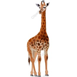 Charming Giraffe