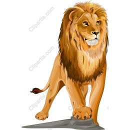 Majestic Lion