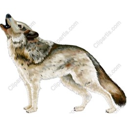 Howling Wolf
