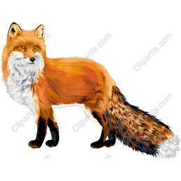 Majestic Fox