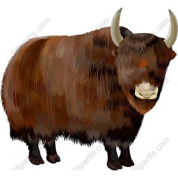 Majestic Yak