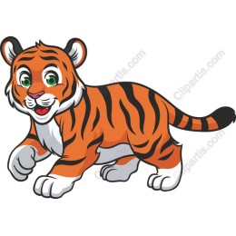 Playful Tiger Cub