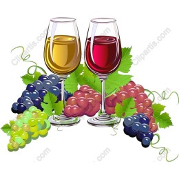 Elegant Wine and Grapes