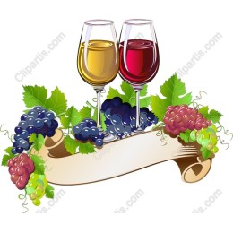 Elegant Wine and Grapes