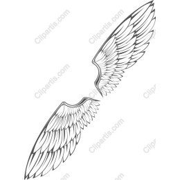 Elegant Angel Wings