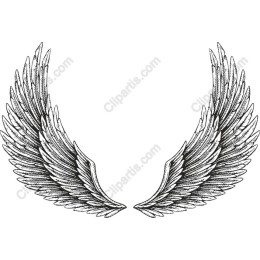 Ornate Angel Wings