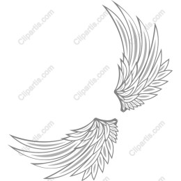 Ornate Wing