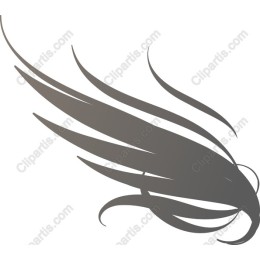 Elegant Flowing Hair