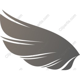 Elegant Wing