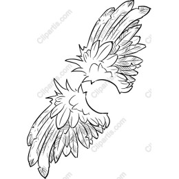 Elegant Angel Wings