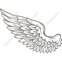 Angel Wing - Elegant Feather Creative Use
