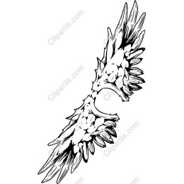 Intricate Wing