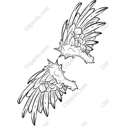 Elegant Angel Wings