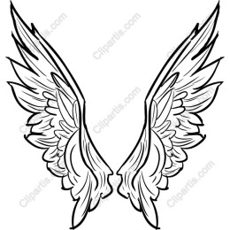 Elegant Angel Wings
