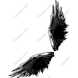 Majestic Black Wing