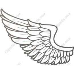 Elegant Wing
