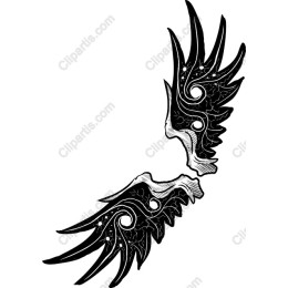 Intricate Black Wings