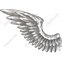 Hand-Drawn Angel Wing