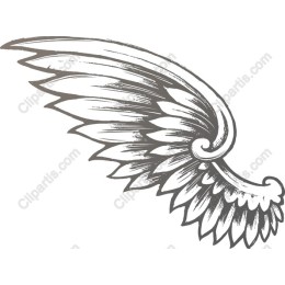 Majestic Wing