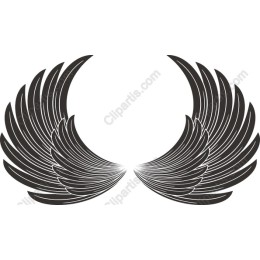 Elegant Black Wings