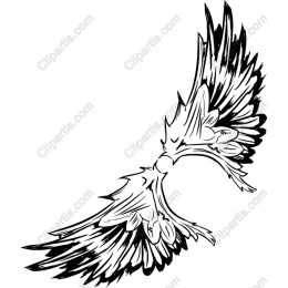 Majestic Eagle Wings