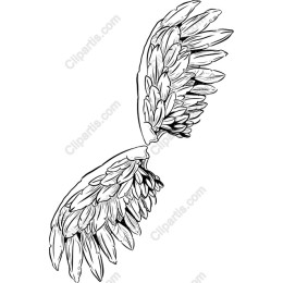 Floral Wing