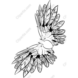 Elegant Bird Wings Drawing