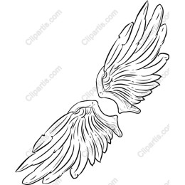 Majestic Angel Wings