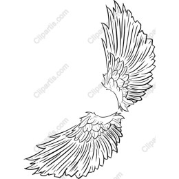 Intricate Angel Wings