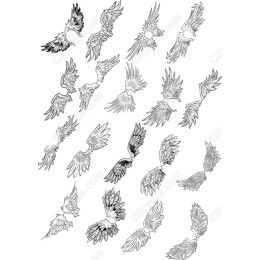 Wings Set - Premium