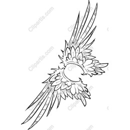 Intricate Wing