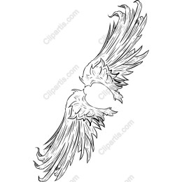 Majestic Angel Wings