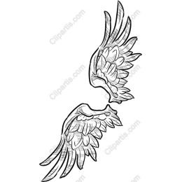 Elegant Wings Sketch