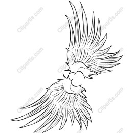 Intricate Angel Wings