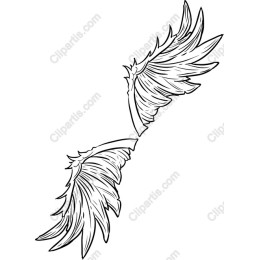 Elegant Wings