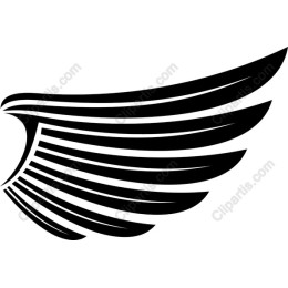Dynamic Wing
