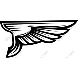Stylized Wing