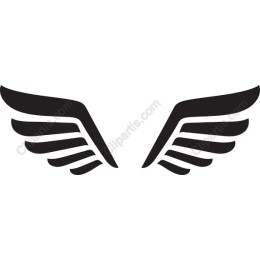 Elegant Wings