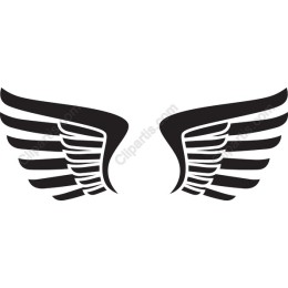 Stylized Black Wing