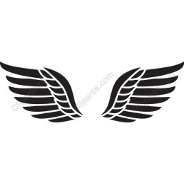 Elegant Wing