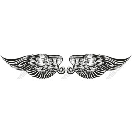 Elegant Wing