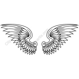 Intricate Wing