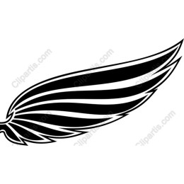 Black Wing - Freedom & Movement