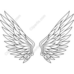 Intricate Wings Art