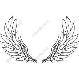 Elegant Angel Wings