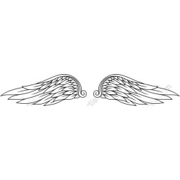 Elegant Angel Wings