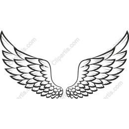 Elegant Wing