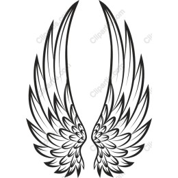 Angel Wings