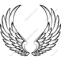 Elegant Wing