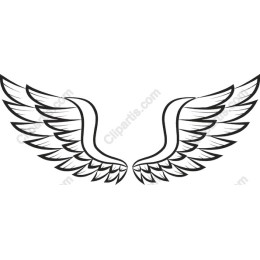 Stylized Wings